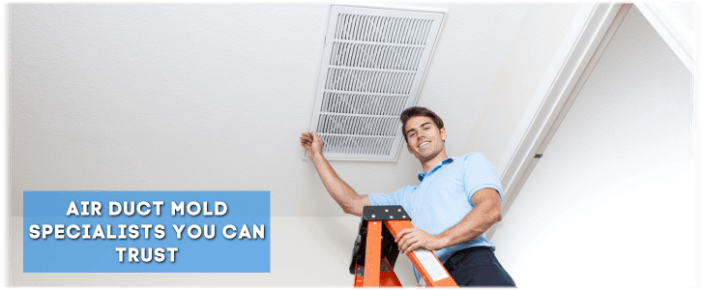 Air Duct Mold Removal in DC