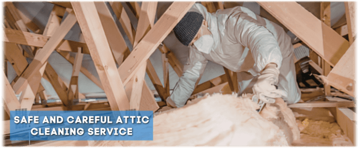 Attic Cleaning DC