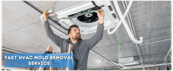 HVAC Mold Removal DC